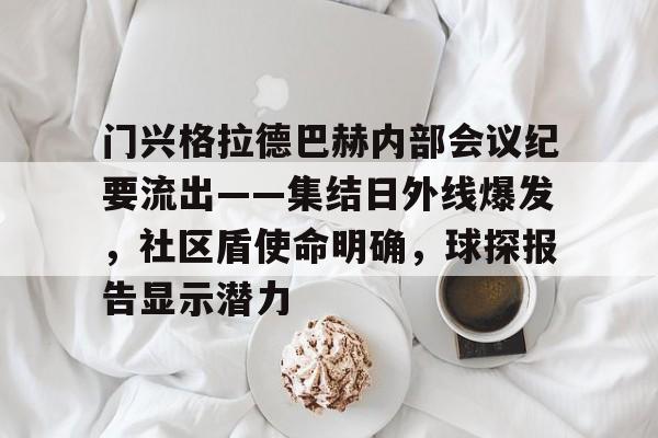 网页版登录-门兴格拉德巴赫内部会议纪要流出——集结日外线爆发，社区盾使命明确，球探报告显示潜力(沙尔克04与门兴)